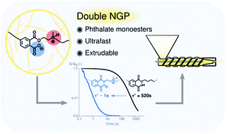 Double neighbouring group participation for ultrafast exchange in phthalate monoester networks